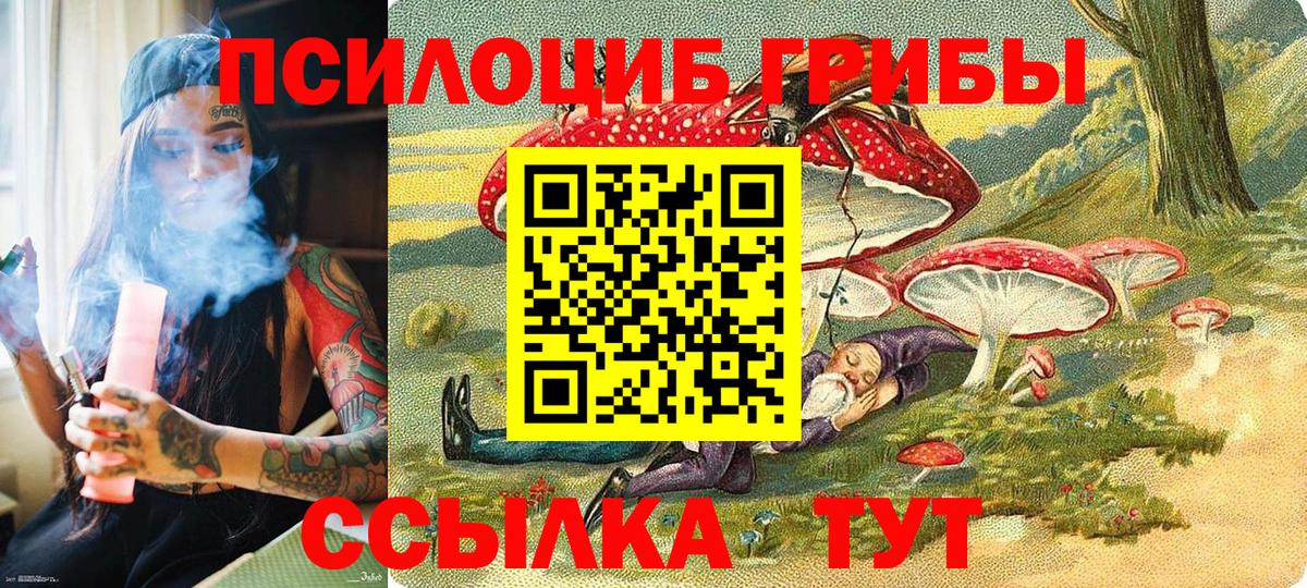цены   Псилоцибиновые грибы Cubensis  Вход с VPN  Псилоцибиновые грибы Magic Shrooms  Нижнекамск 